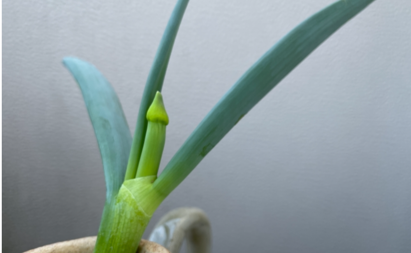 【司空】水を司る者