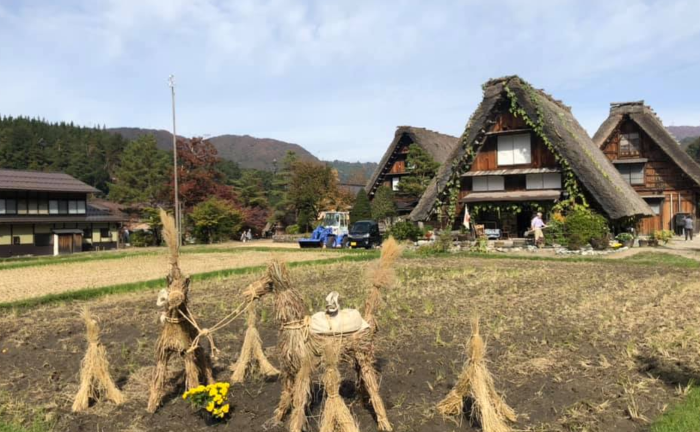 #13 自然栽培と固定種・在来種　～命を繋ぐ根源的活動とは～