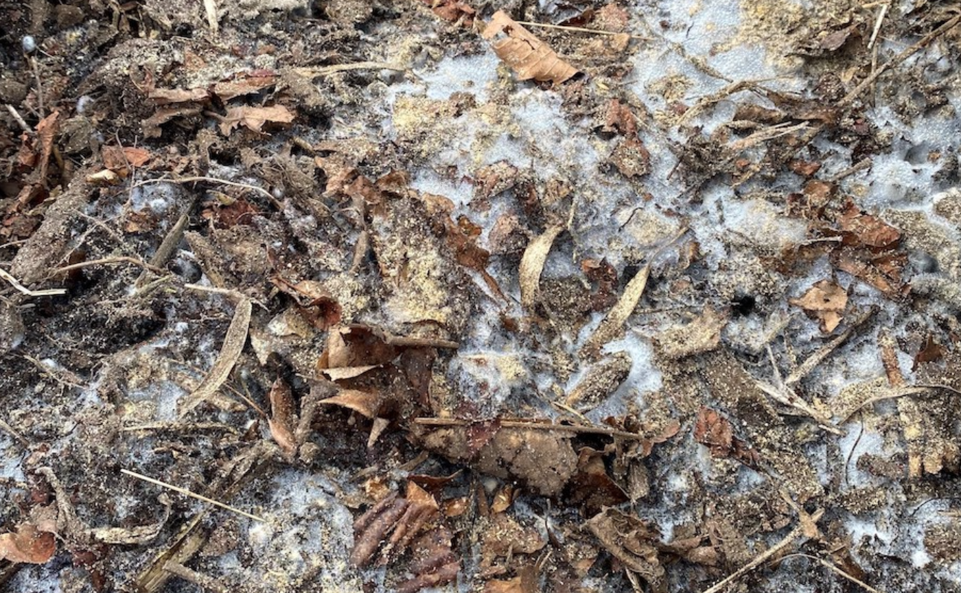 #06 土中環境の再生が地球を救う〜全国で広がる、これからの環境土木〜