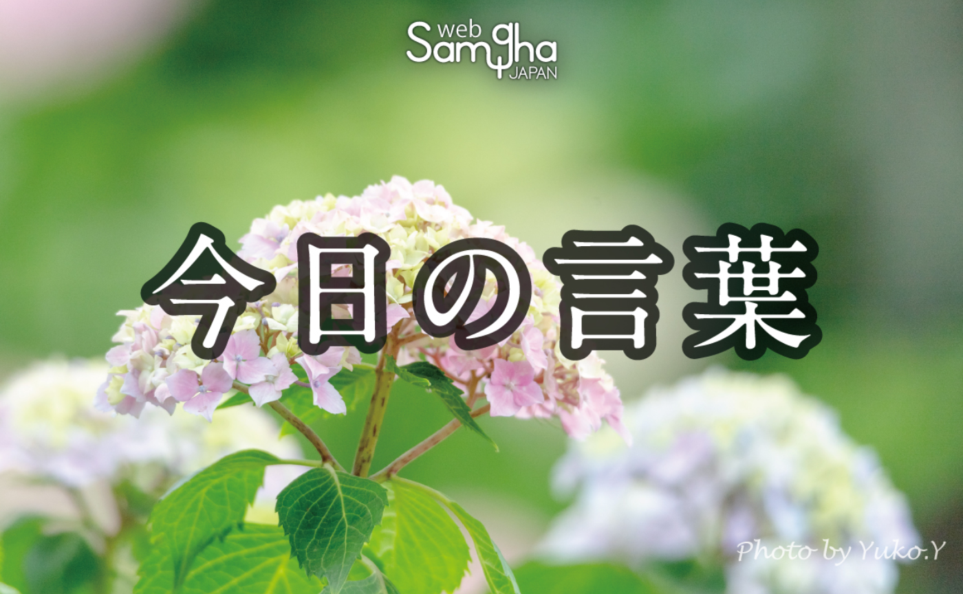 6月15日　今日の言葉　私に向けられた悪口を楽しむ