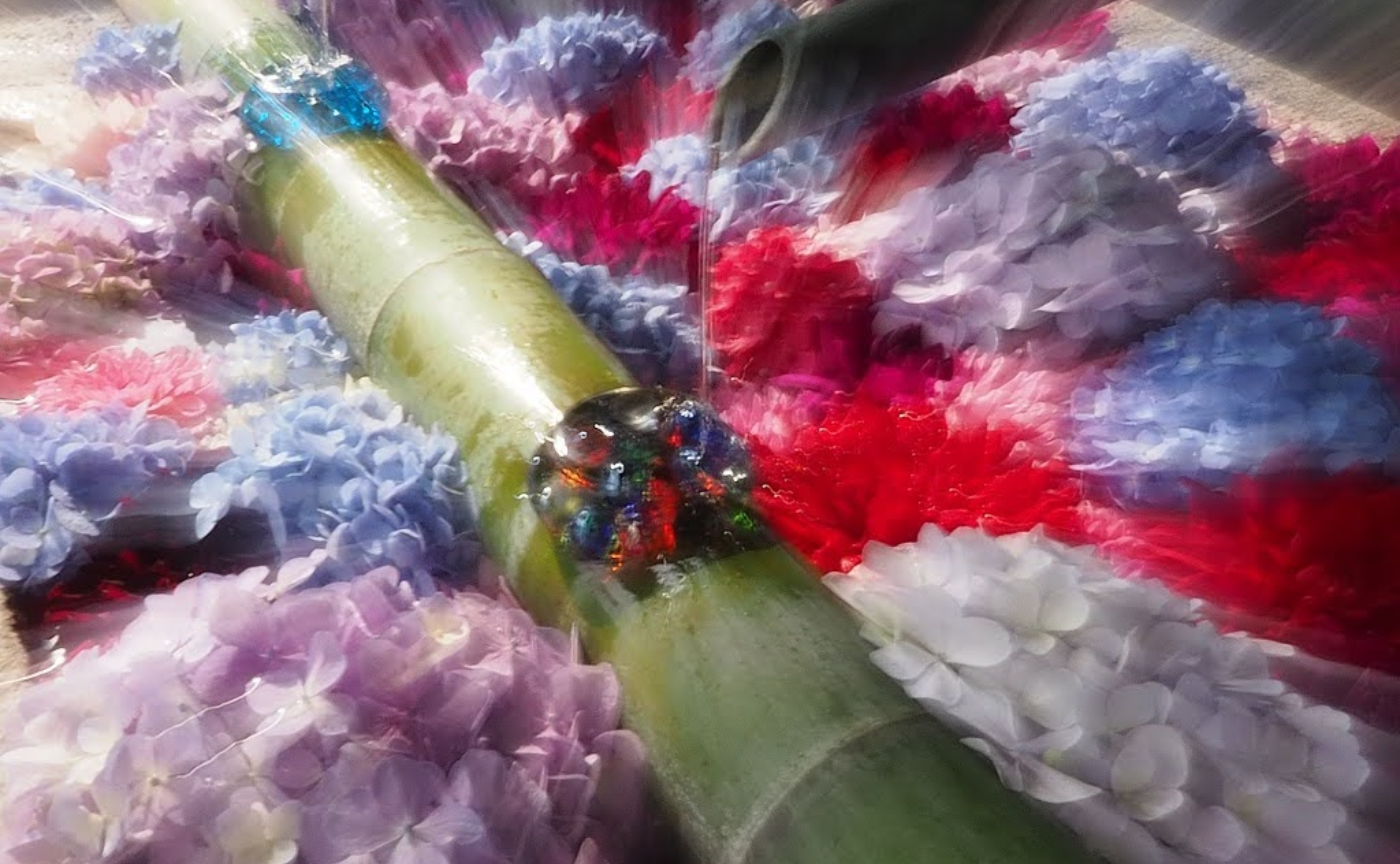 【奈良】大和三大観音あぢさゐ回廊～その２　岡寺・壷阪寺篇～