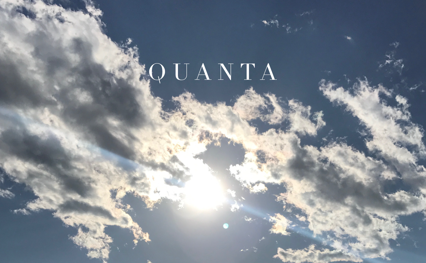 ホリスティックメディアとしてのQUANTA