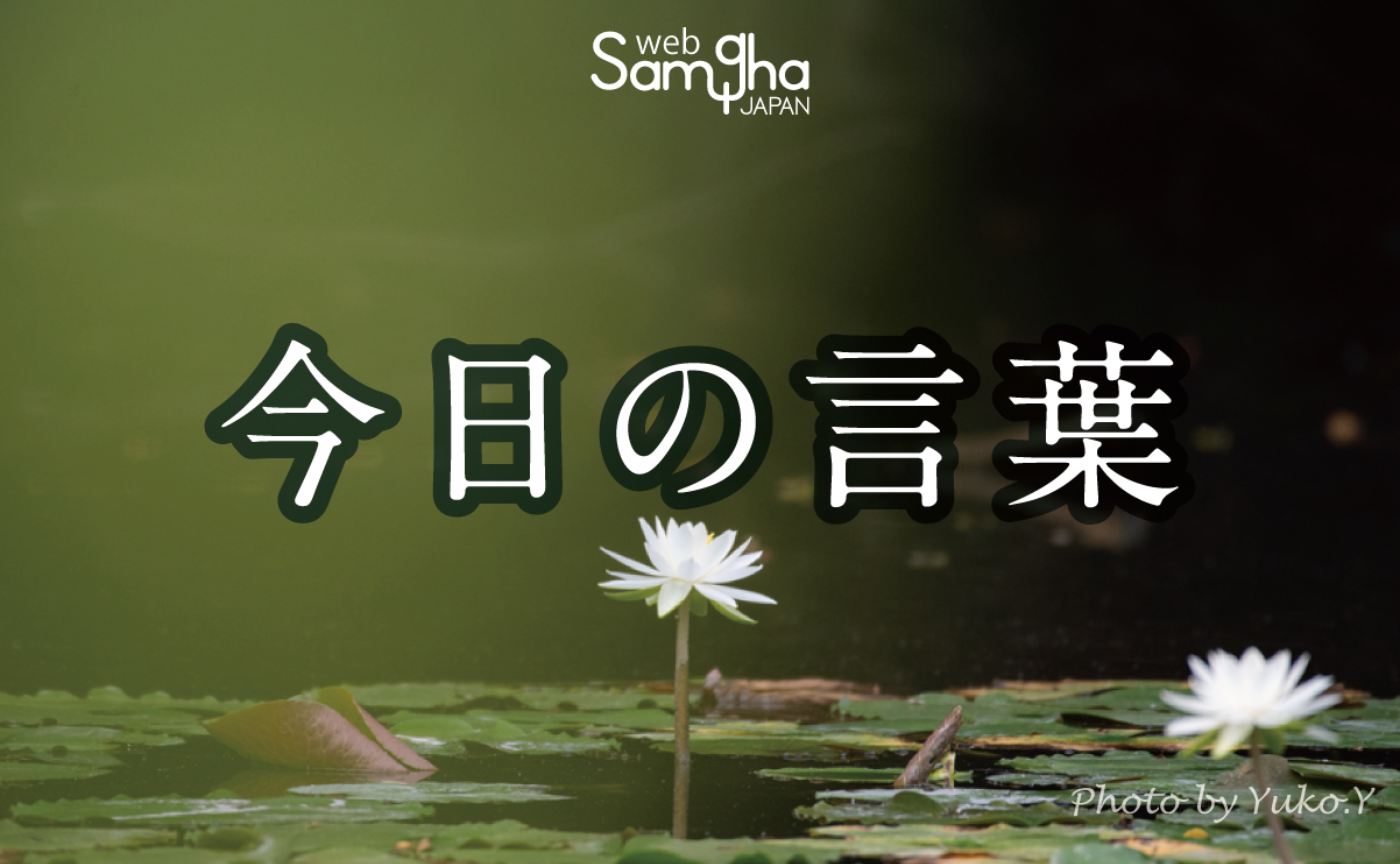7月13日　今日の言葉　ボランティアなんて嫌いだね