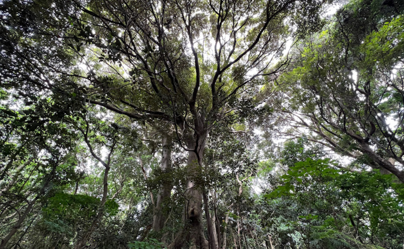 近況レポート【移住とともに働き方を変えたい】