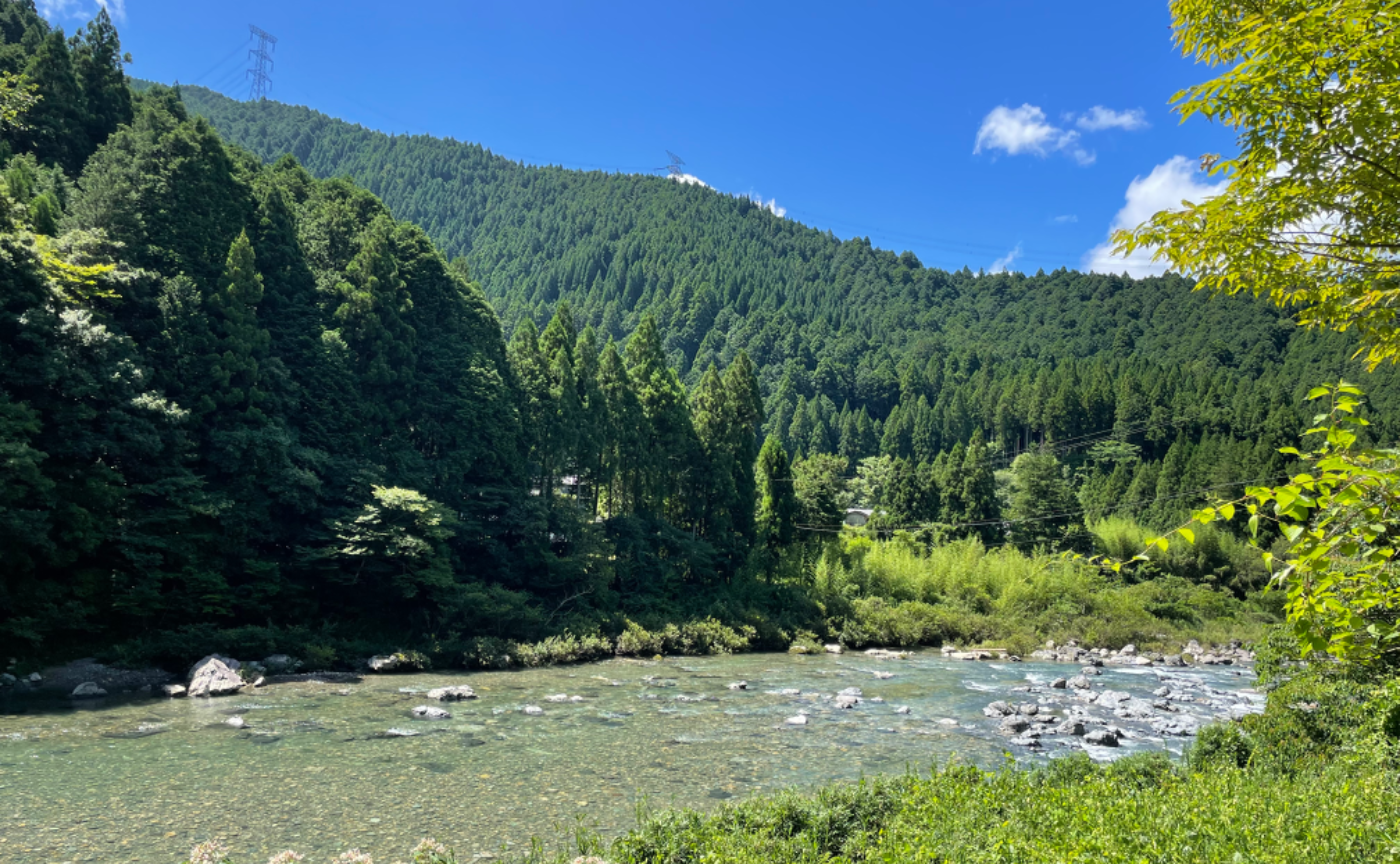 【岐阜 板取】夏の風物詩　鮎ヤナとモネの池