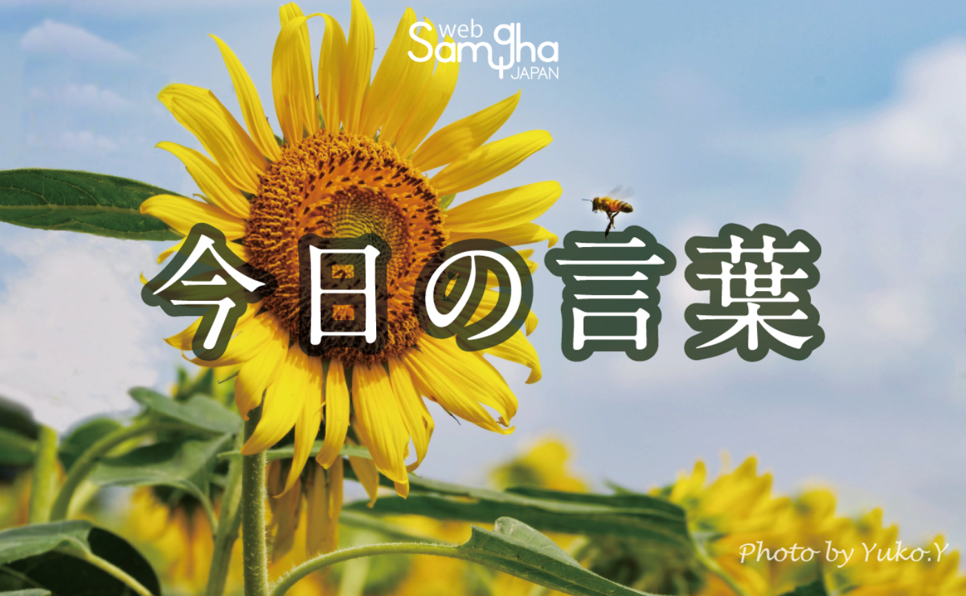 8月17日　今日の言葉　何があっても、笑っちゃおう