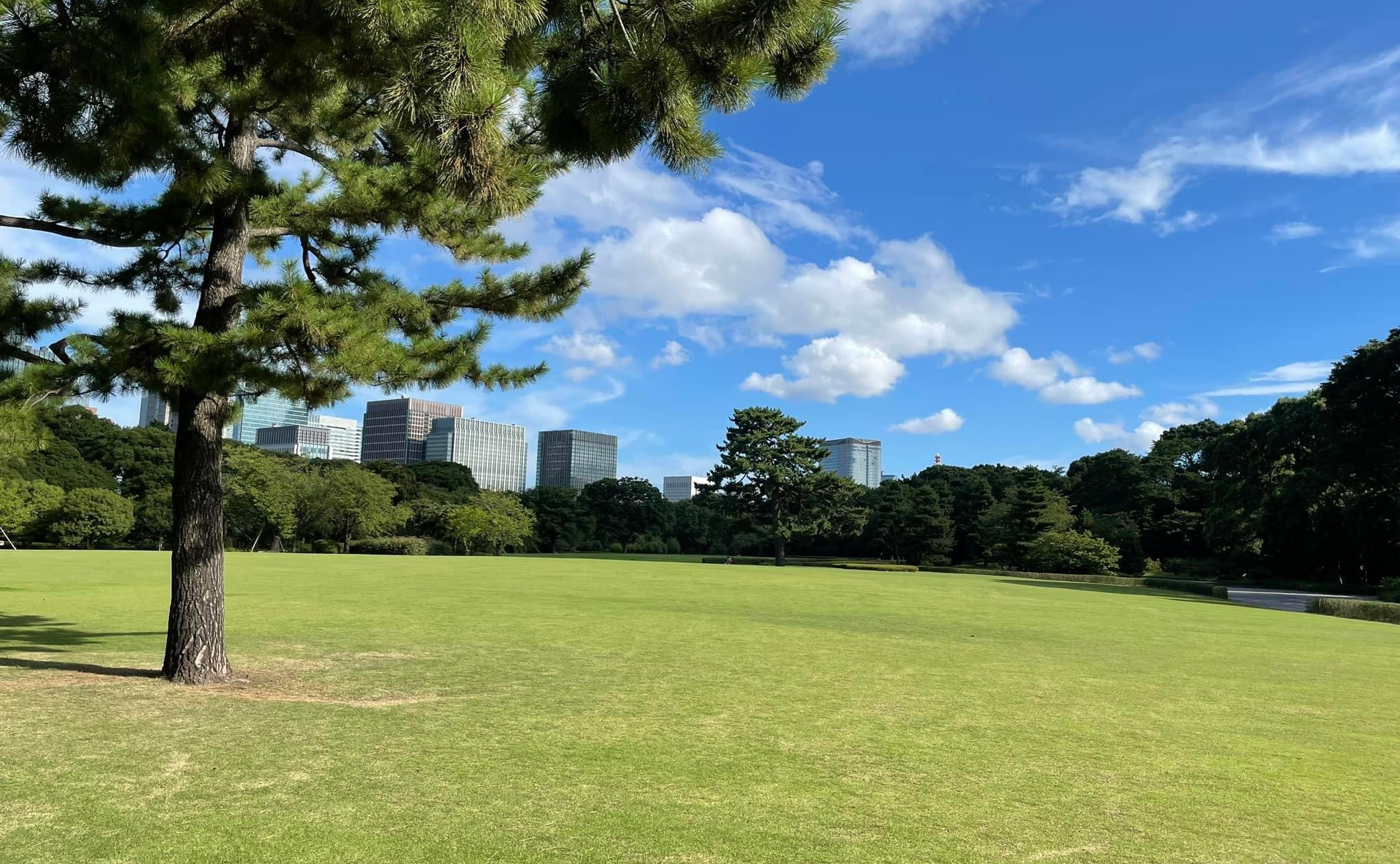 絵本でAIの基礎を理解