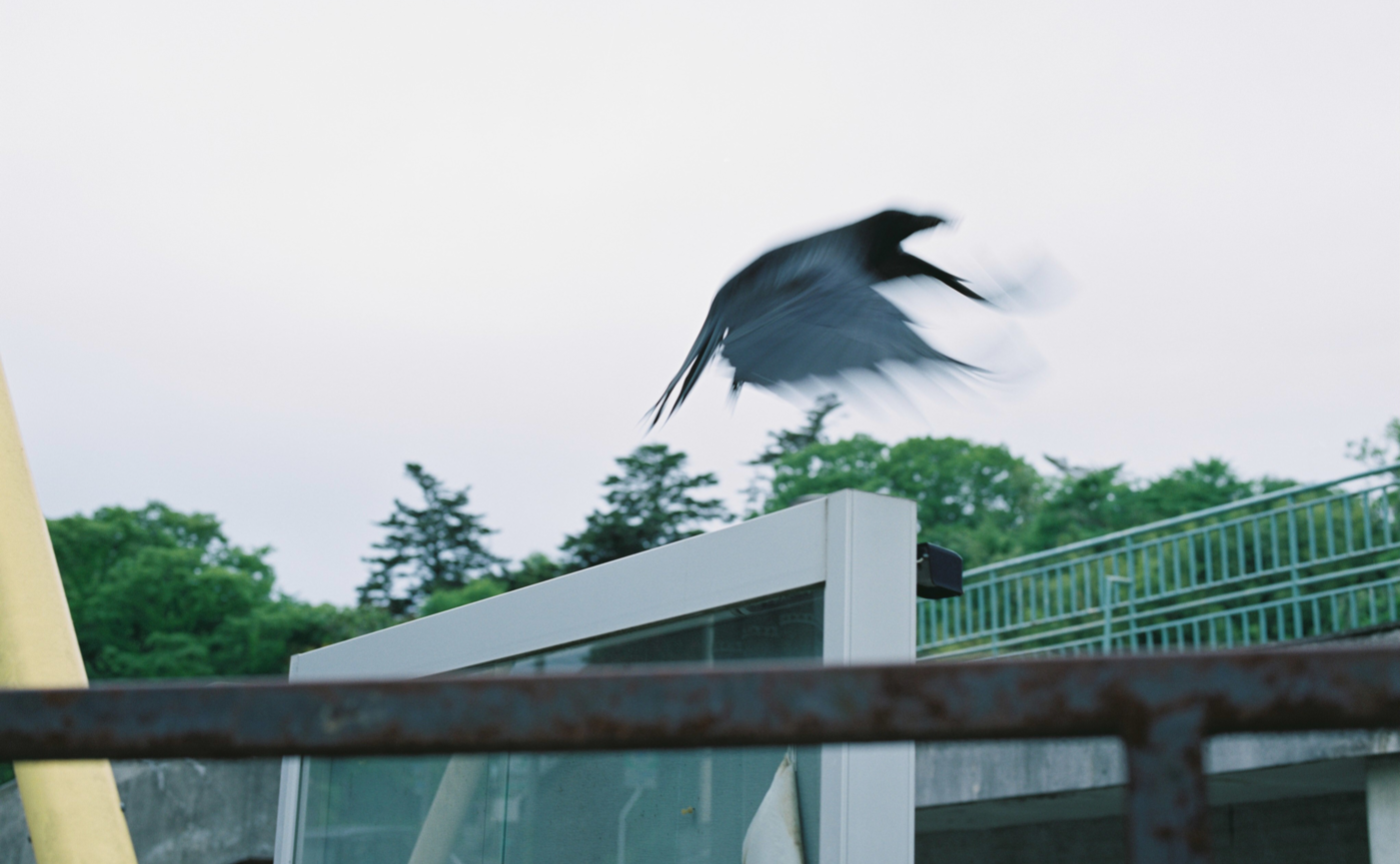 偶然をキャッチする力