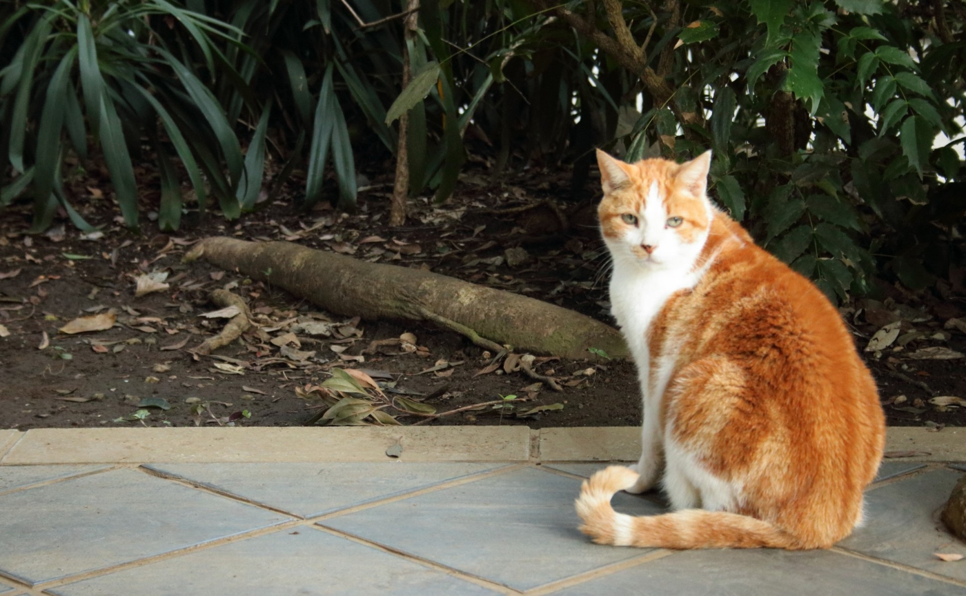 【参加費無料！】振返り読書会(8月度)････挙がった文章たち