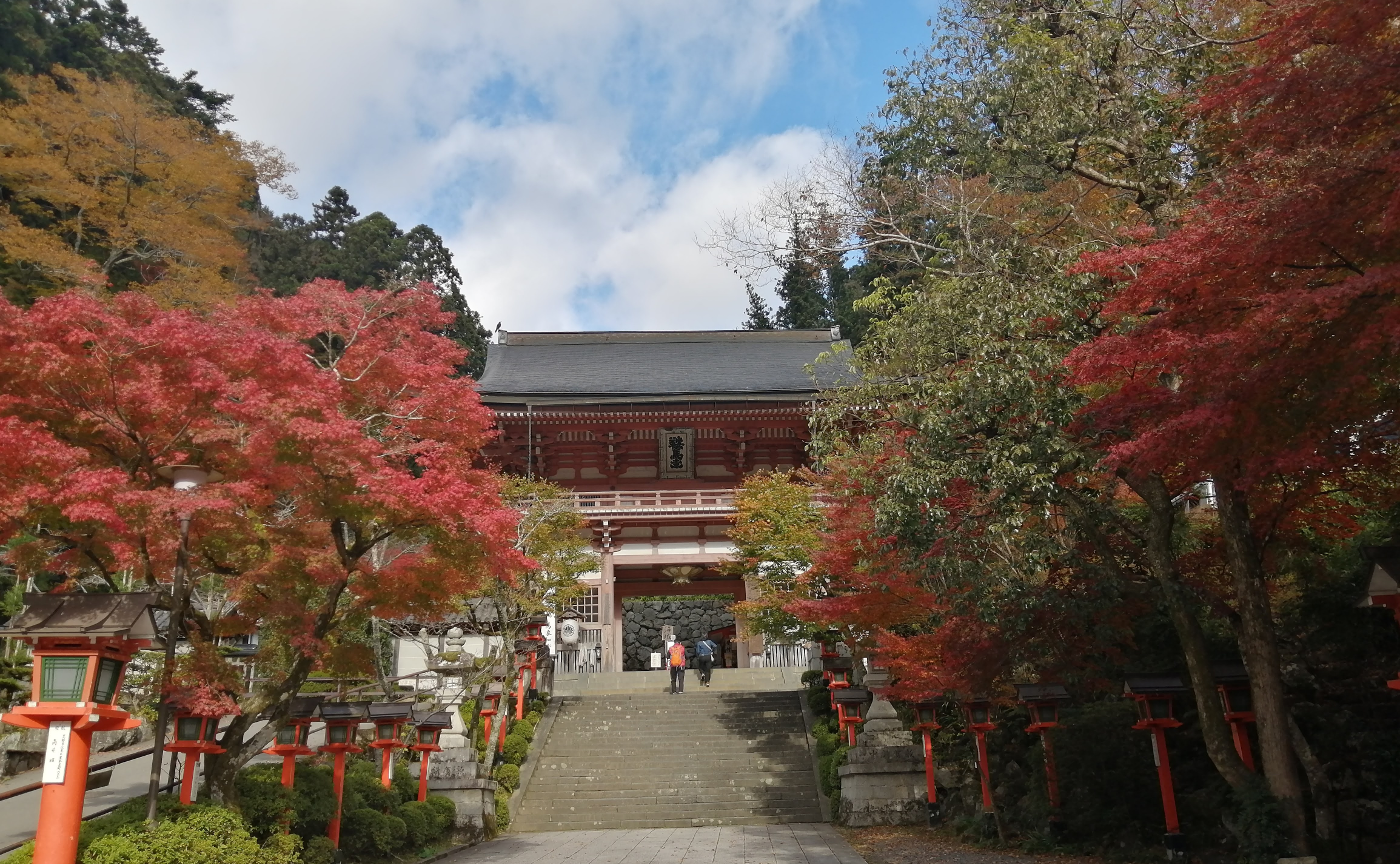 心がぼろぼろだったｺﾙｸﾗﾎﾞ入会時からニ年経って