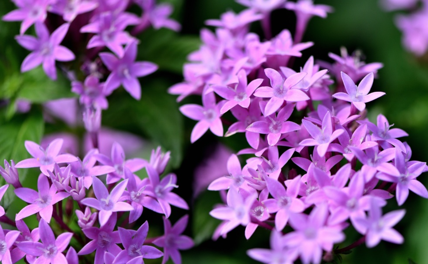 　てんかん喫茶店