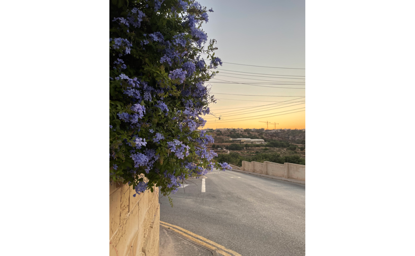 マルタの夕焼け