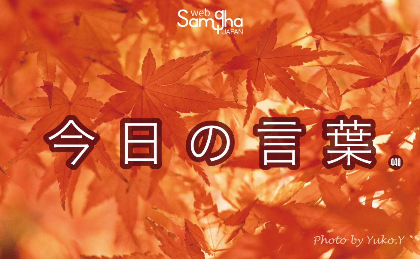 11月14日　今日の言葉　「べき」という思考