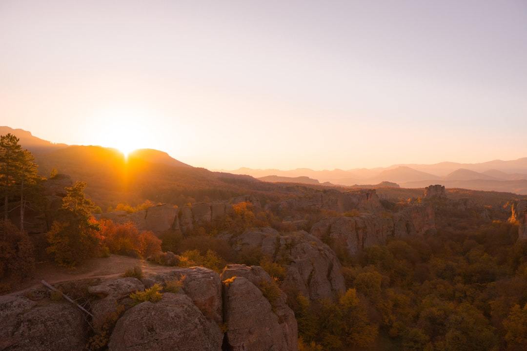 本来の自分に還るデトックス習慣