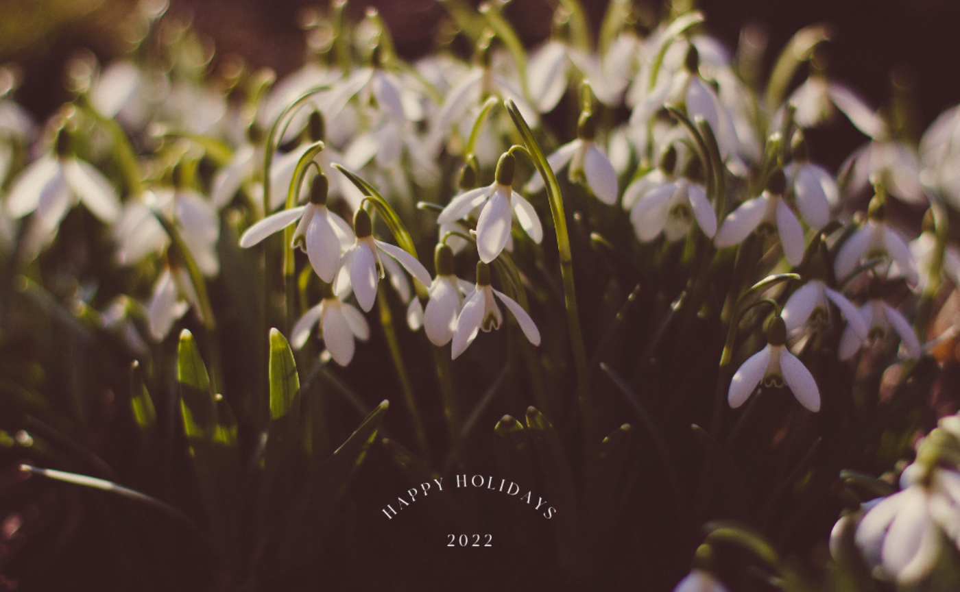 おくって、うけとって