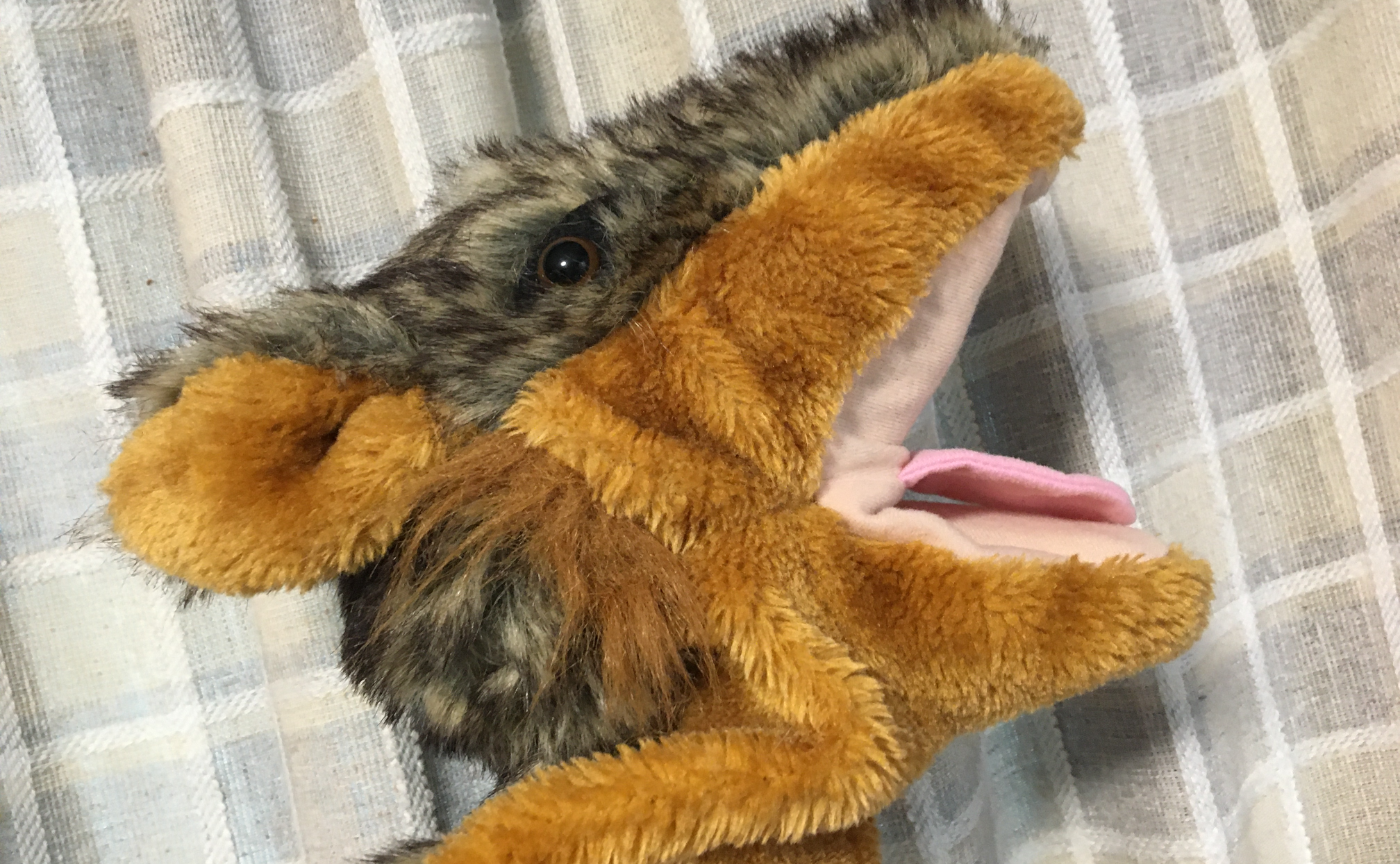 ジャッカルバーで、みんなで吠えてみた！