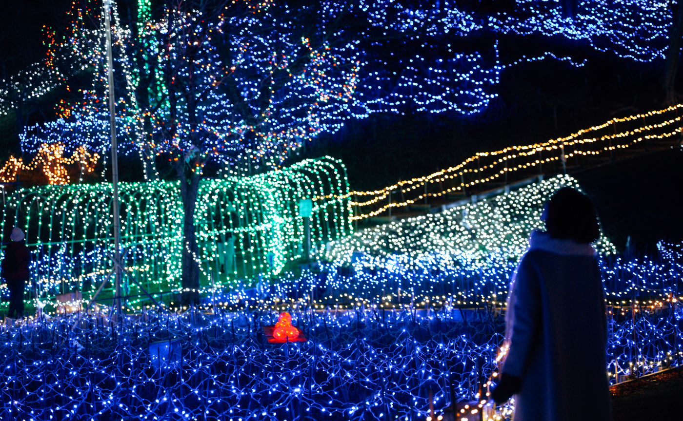 12月のLightroomプリセット/ イルミネーション