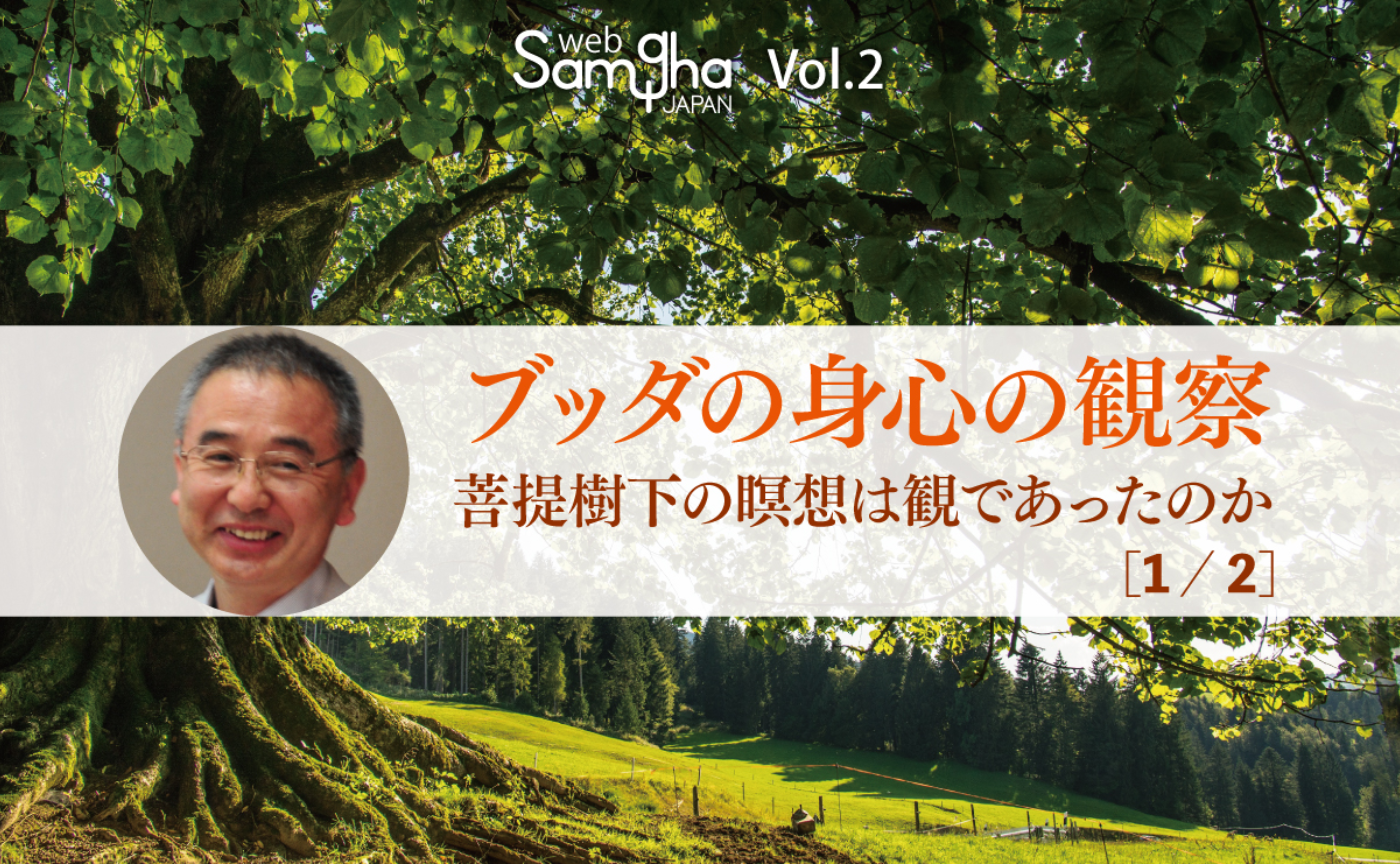 蓑輪顕量「ブッダの身心の観察──菩提樹下の瞑想は観であったのか」［1/2］
