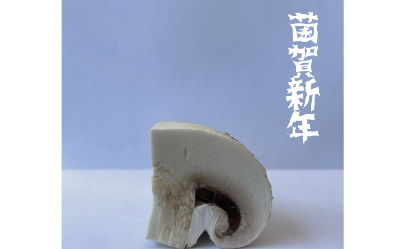 あけましておめでとうございます