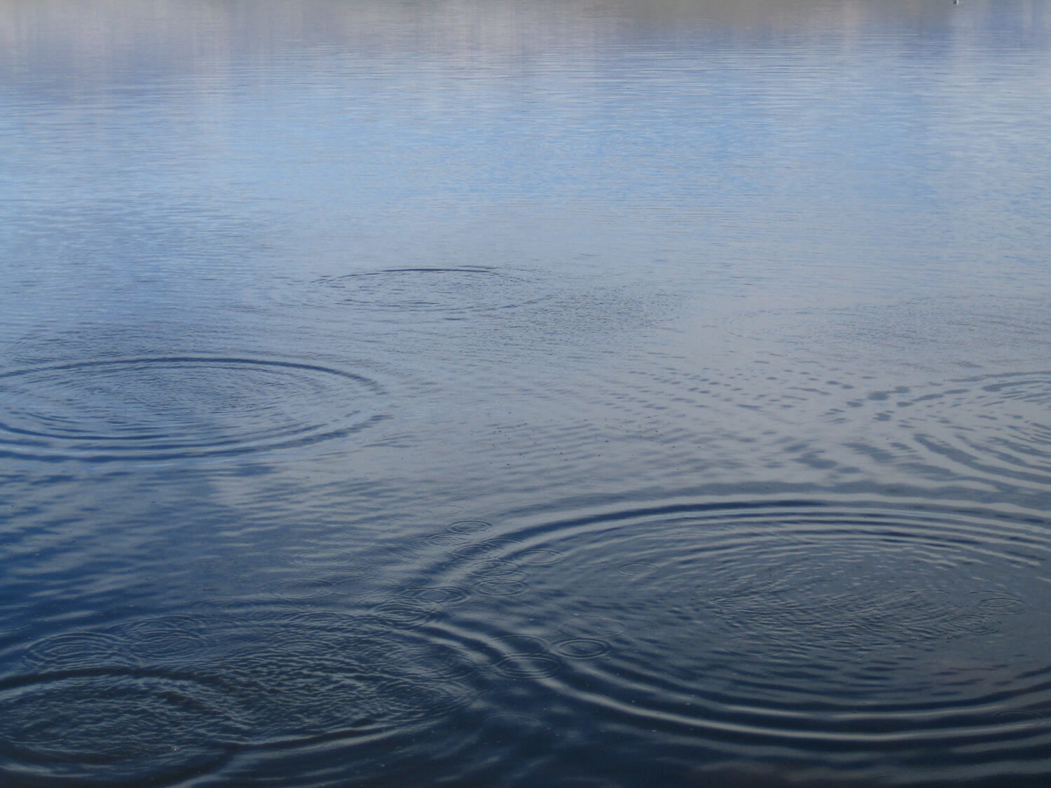 リーダーは背中を見せる|パッションは伝染していく