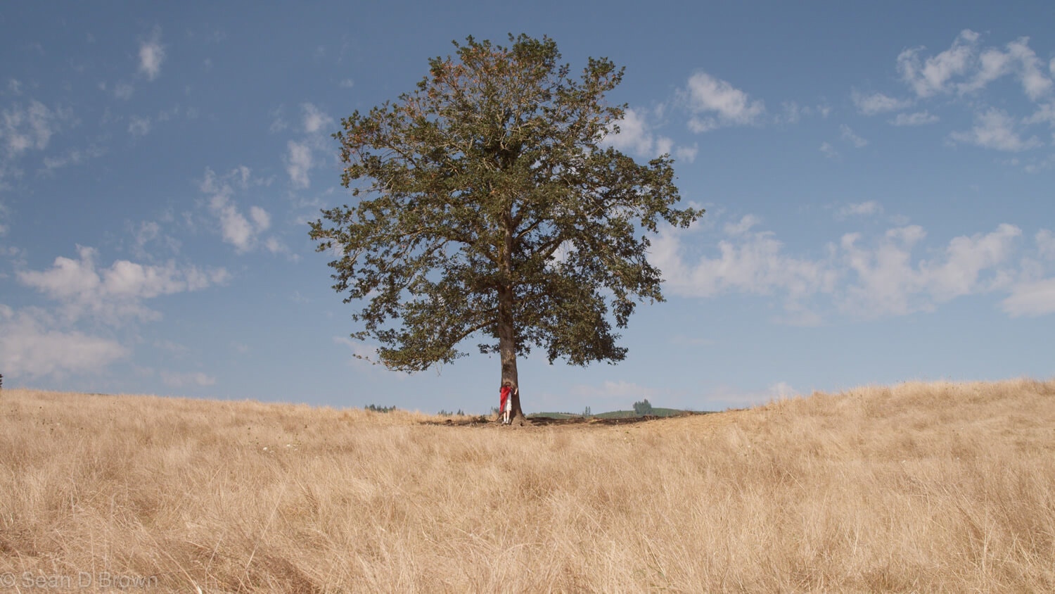 自分のミッションを構築する｜ミッションとともに成長する