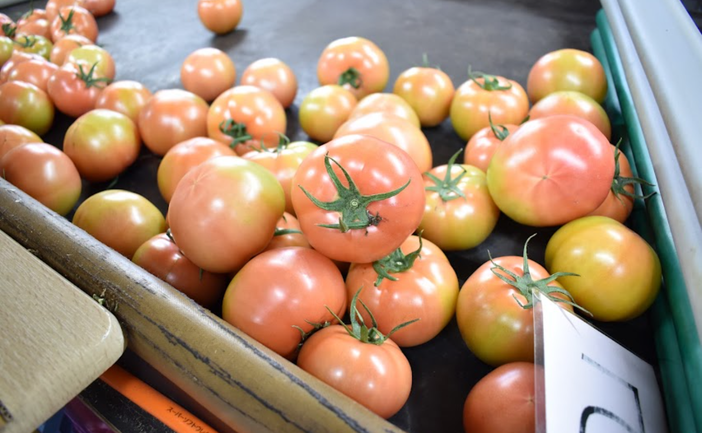 九州｜HIGO JOURNEY