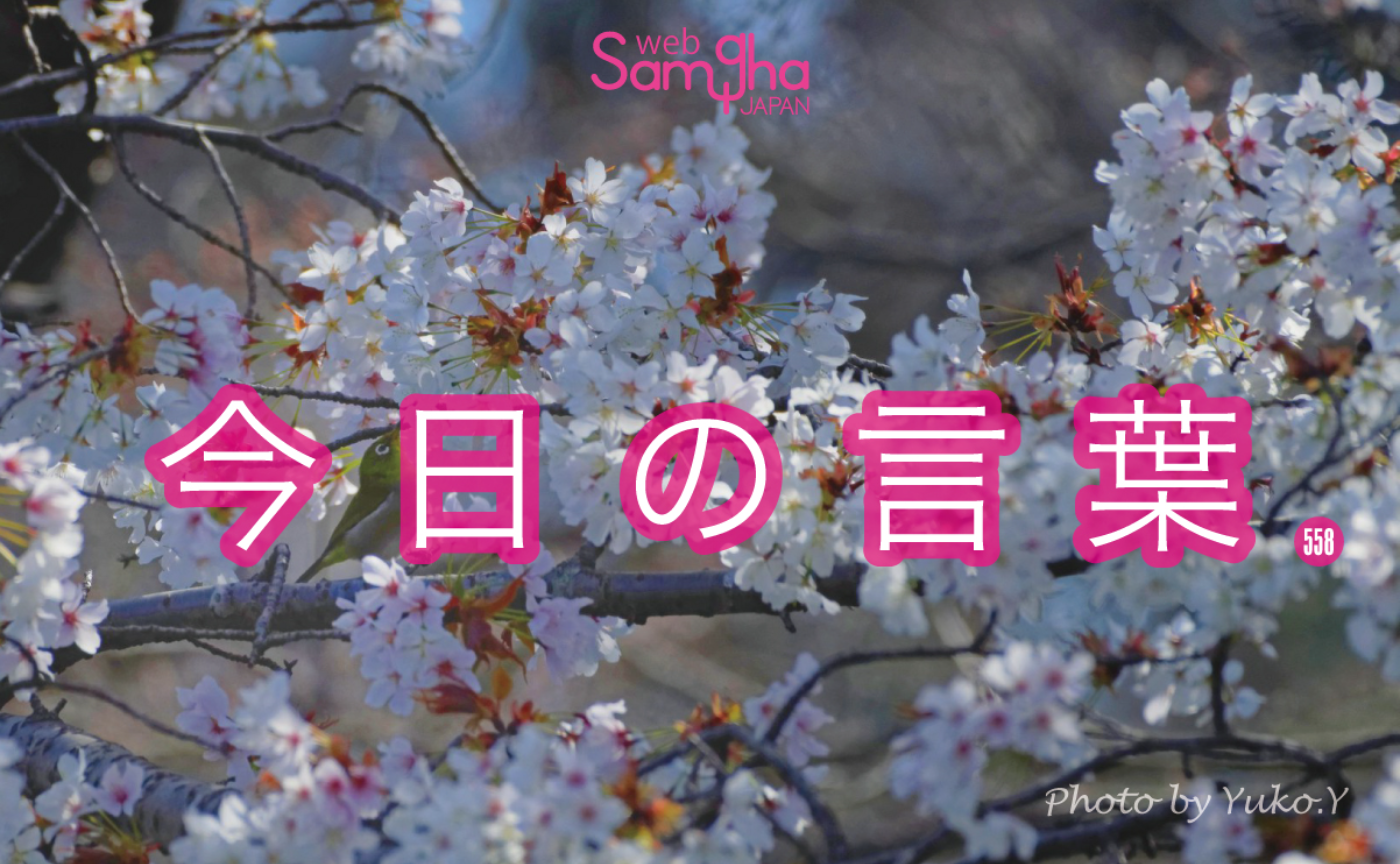 3月12日　今日の言葉　思考停止にさせる最強の呪文