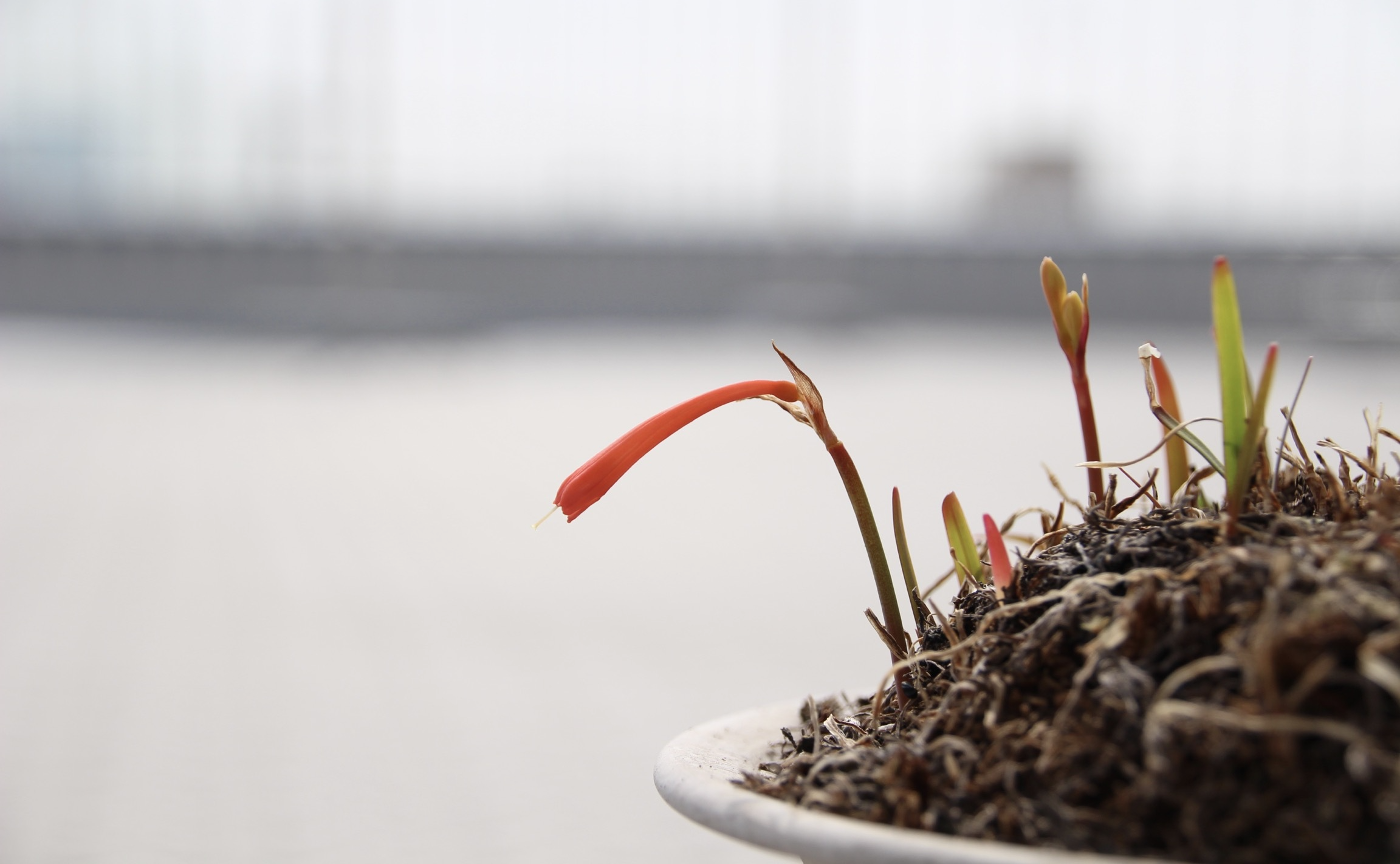 2月のフォトコンテスト「幸せな瞬間」結果発表