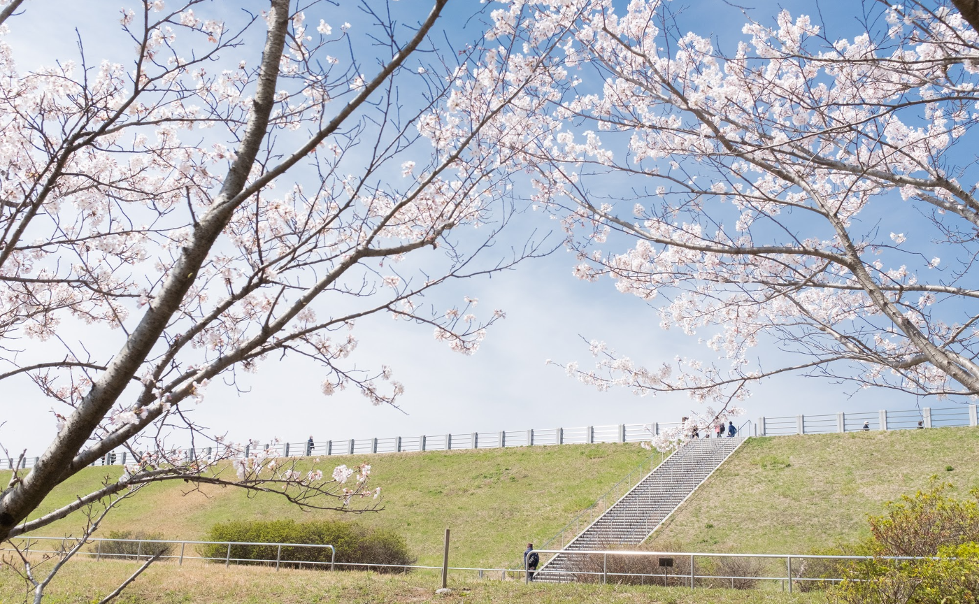 3月のフォトコンテスト「春を感じる時」