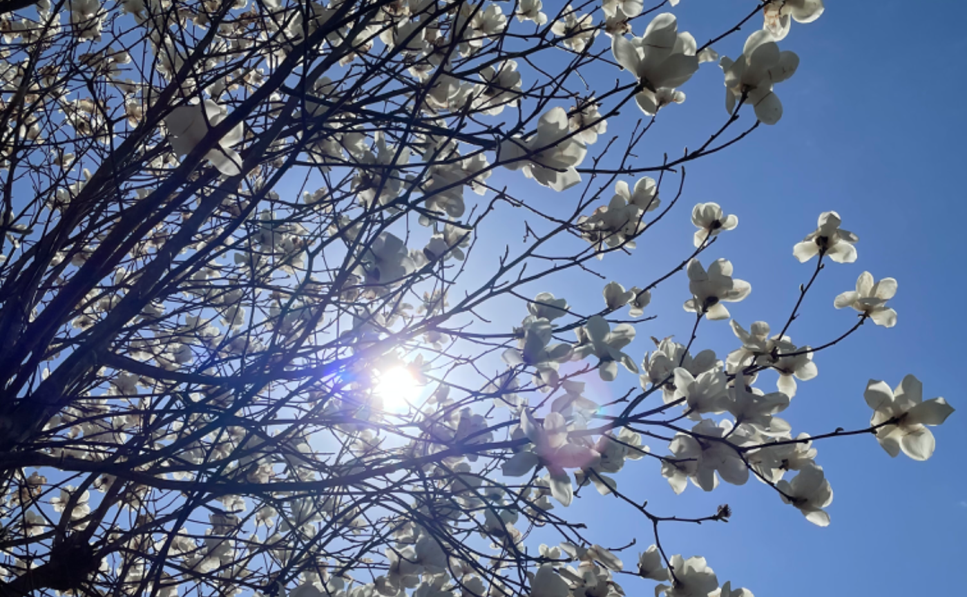 看取りの中のウペッカー　切に生きよ❤️