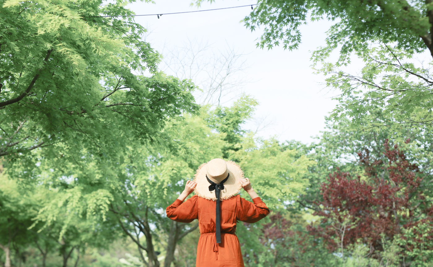 4月のLightroomプリセット/ 新緑が綺麗!