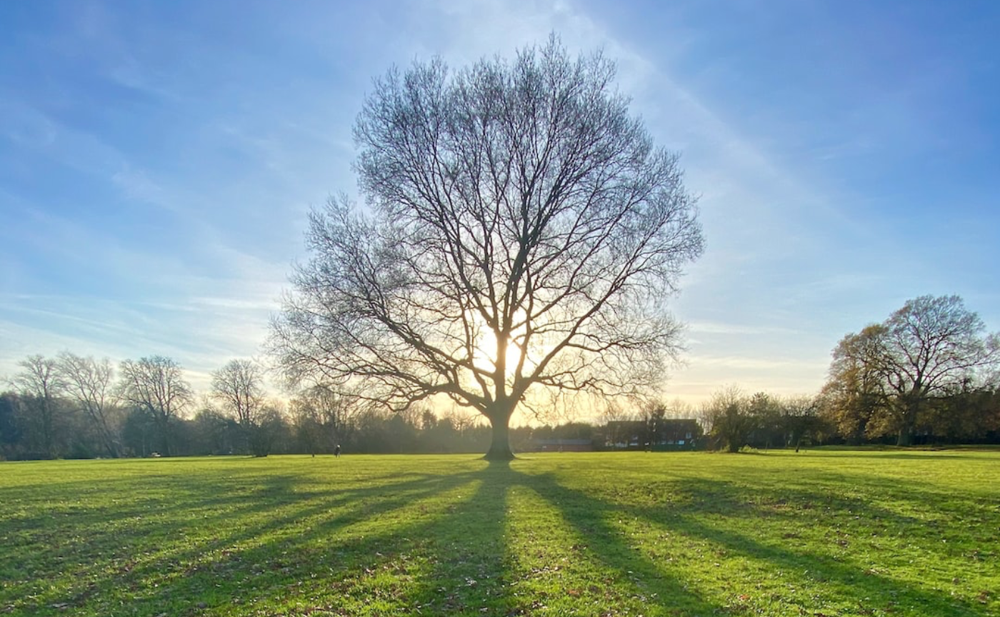 GPT-4との問答集1