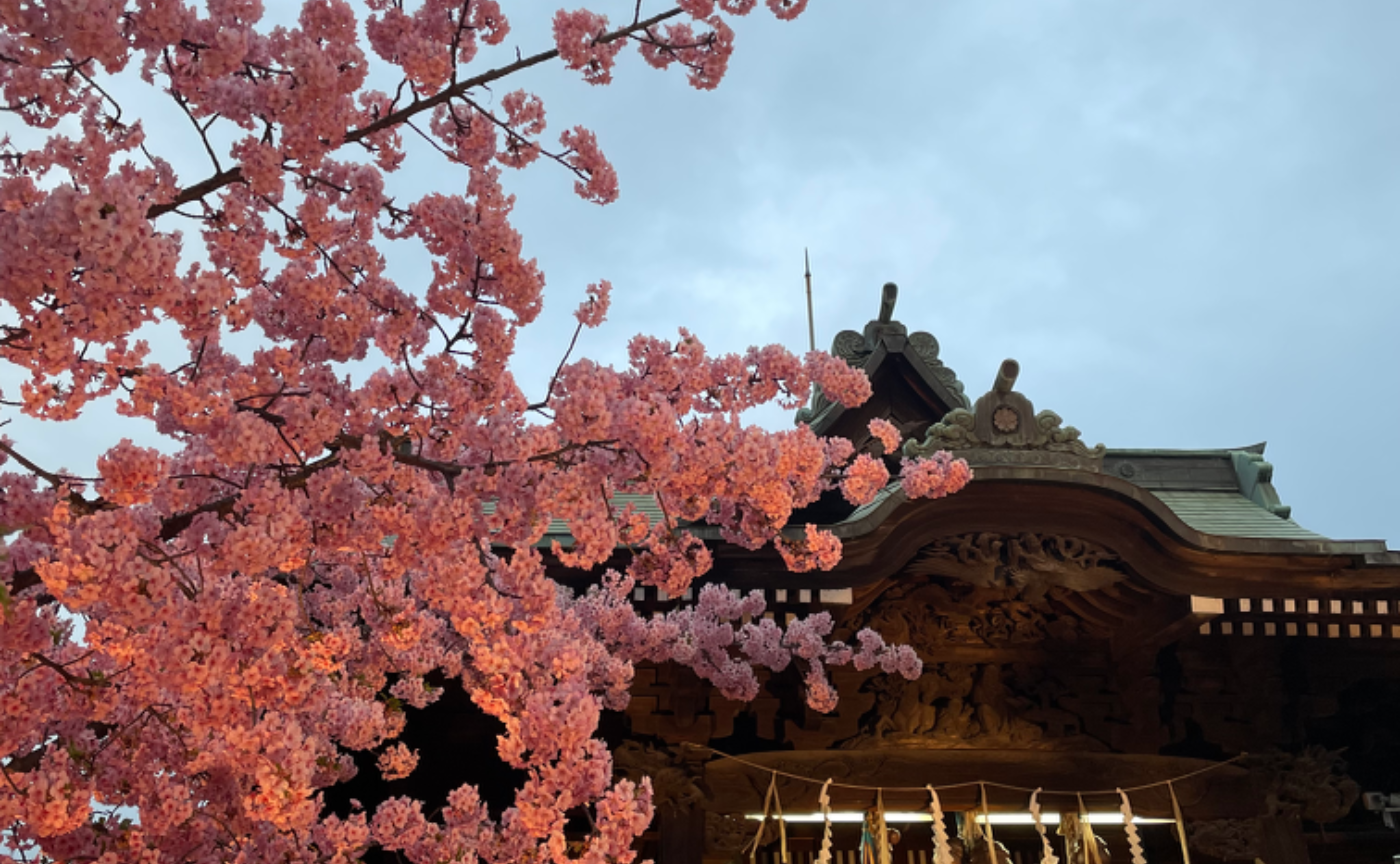 井上ウィマラ先生の「マインドフルネスは解脱を目指しているのか？」で、学んだこと❤️