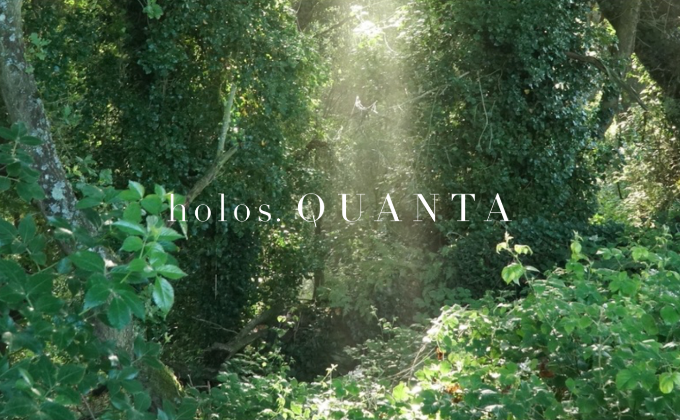 holos. QUANTAってどんなことをしているんだろう？