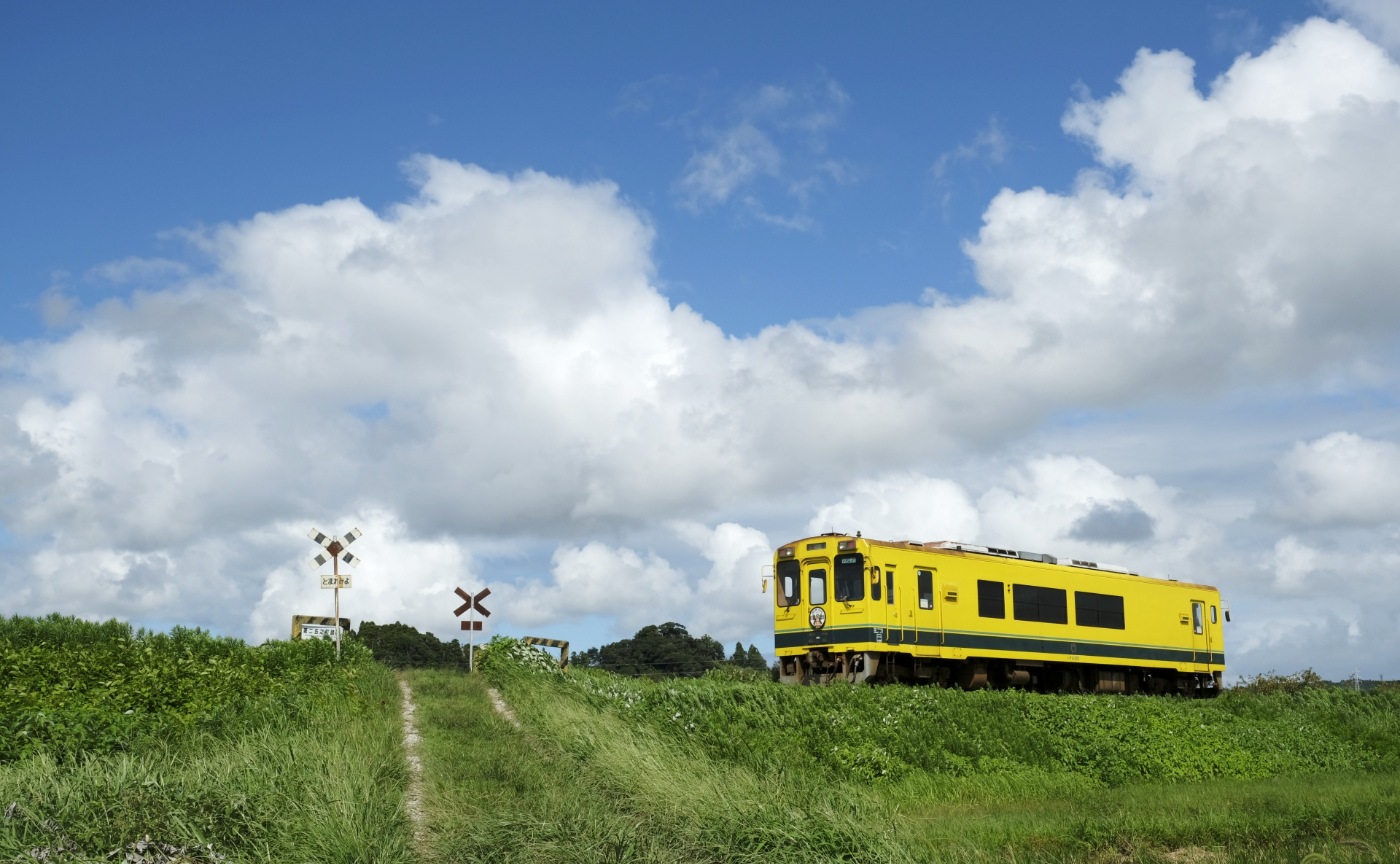 いすみ鉄道を撮りに行こう！ with MAYUさん