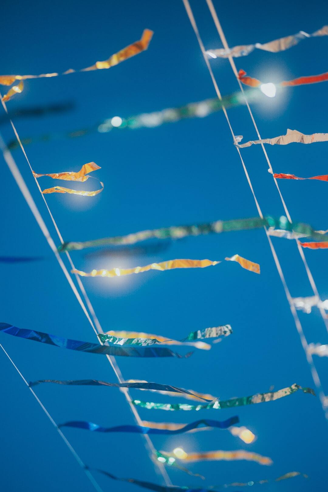 4月のフォトコンテスト「希望にあふれるシーン」