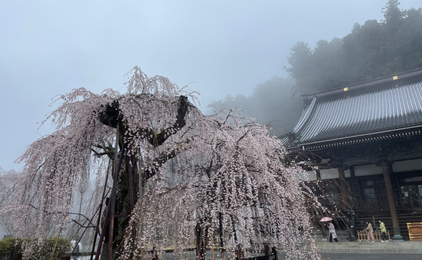 瞑想での気付きを社会に還元❤️