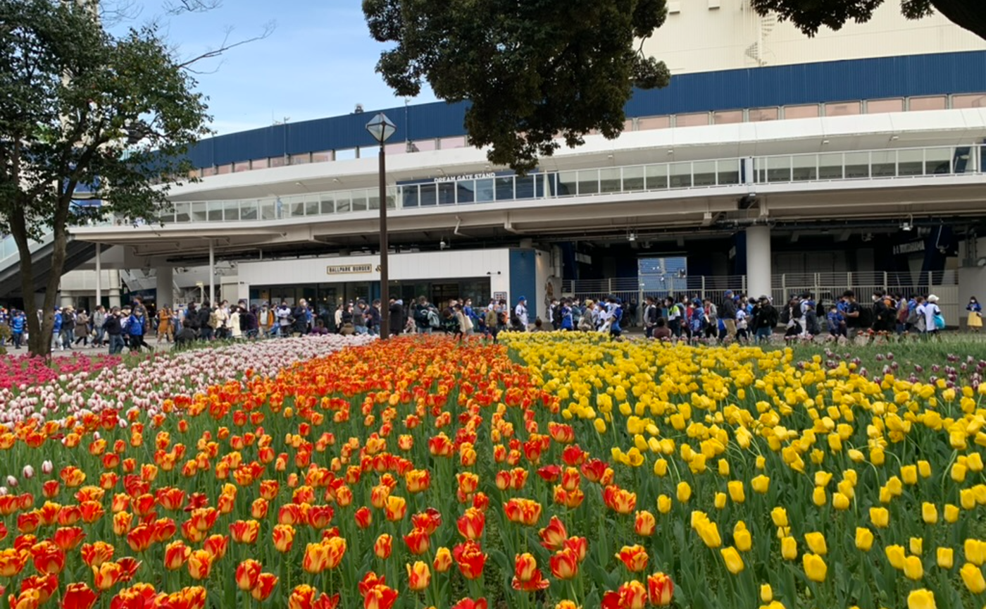 【文春野球学校】偏愛選手名鑑2023 横浜DeNAベイスターズ