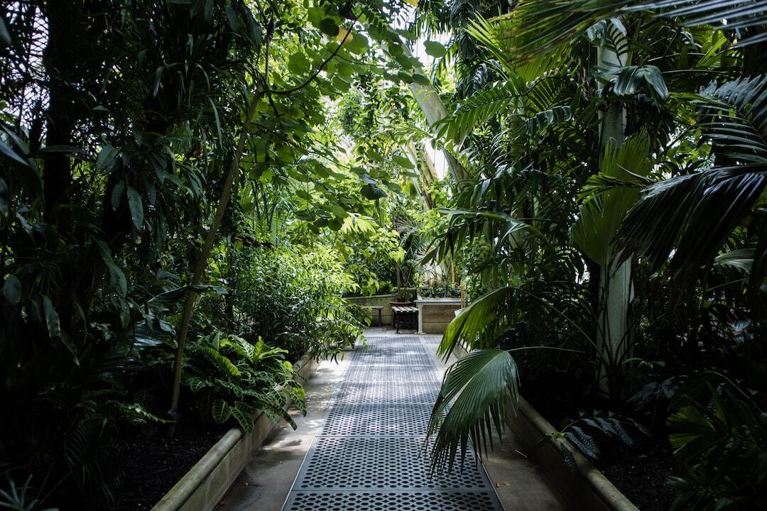 夢の島熱帯植物館で、リフレッシュしませんか？🌿