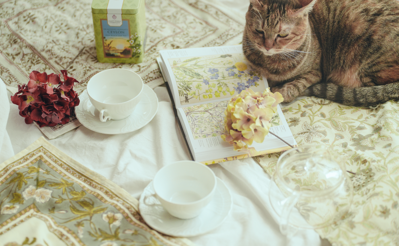 アリスのティーパーティー風🫖撮影会