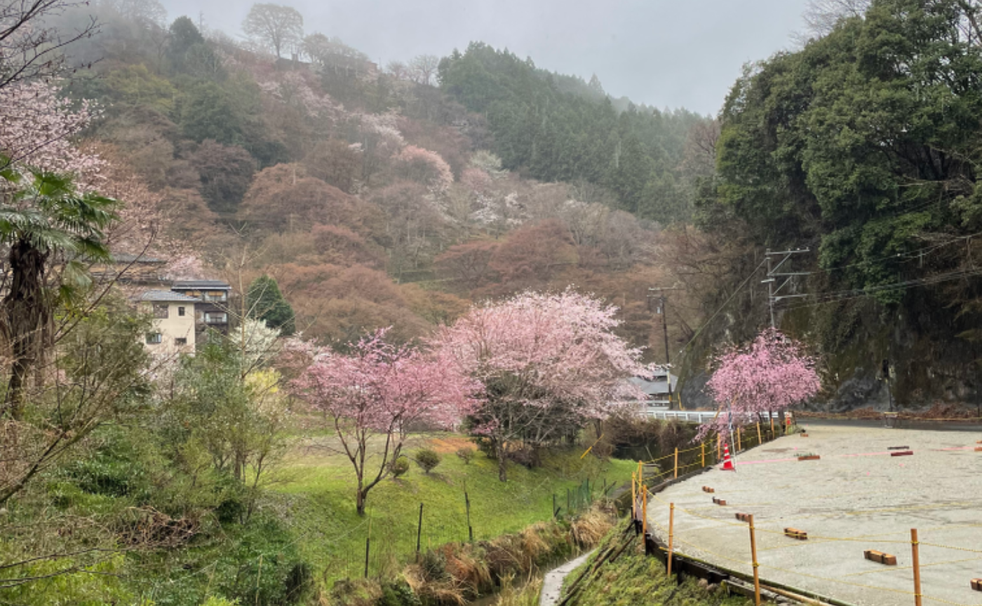 修験から瞑想の静寂へ🌸