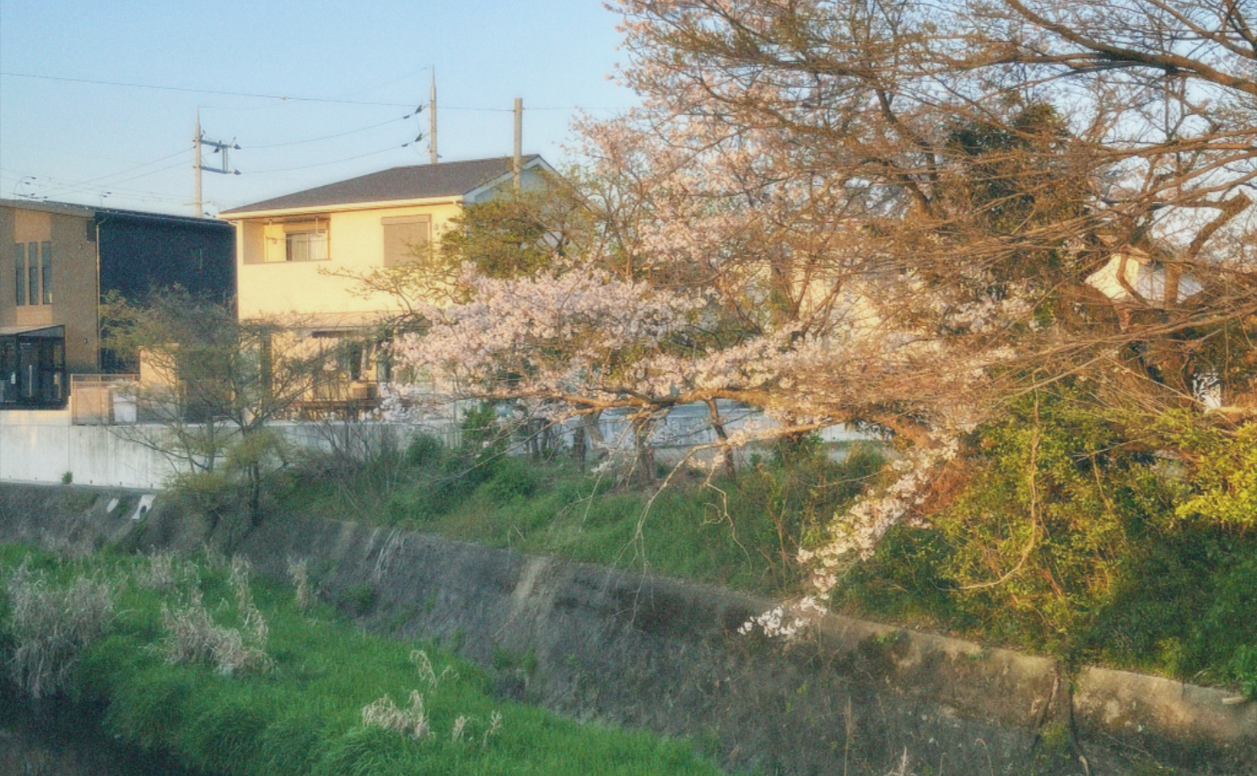 好奇心からくる問い、責任から生まれる問い