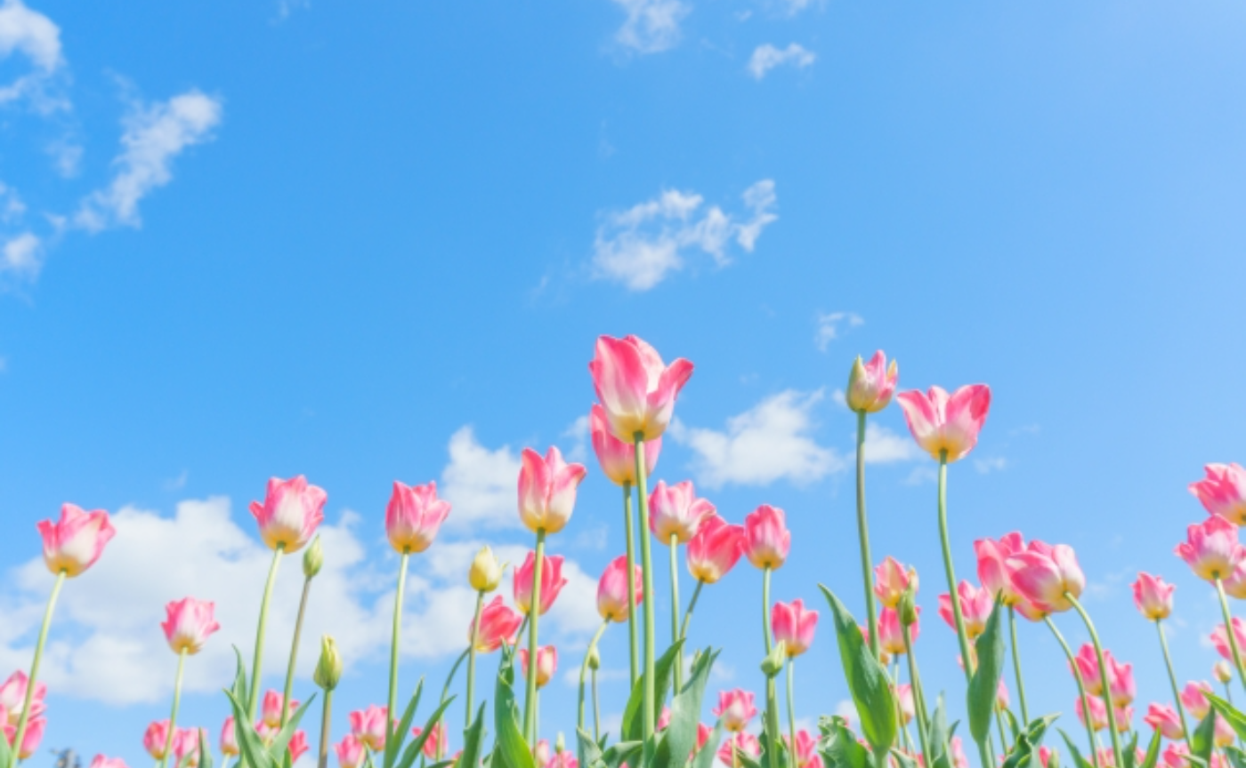 【資質学メソッドトレーニング⑤　〜誕生日で切り替わる自分のエネルギーを知り、将来設計、夢を観る〜】