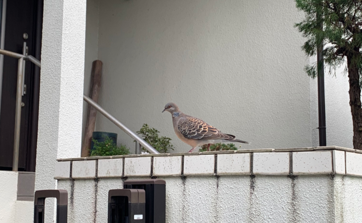 繋がる、という感覚