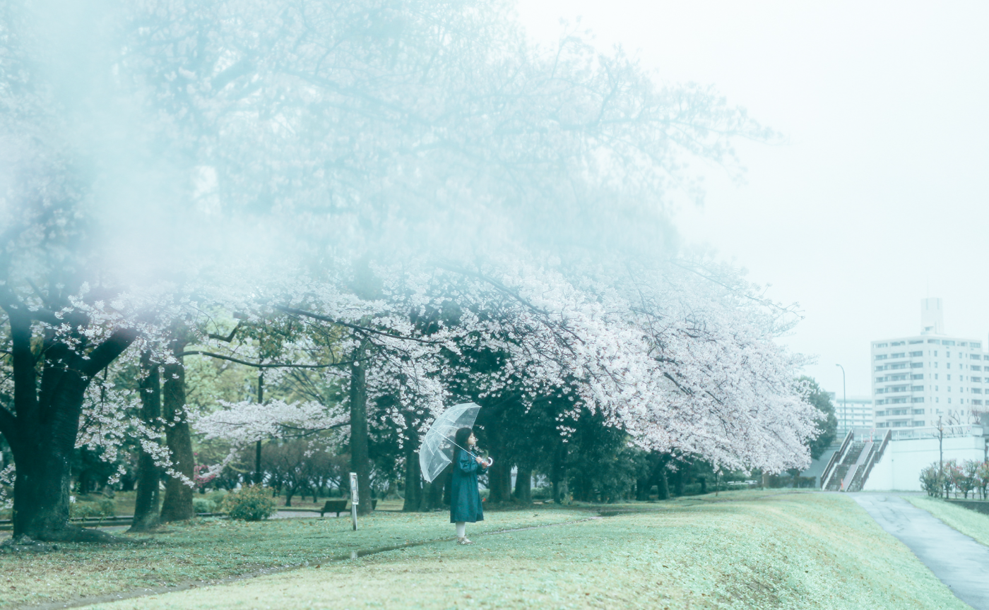 タウンレポート / 2023年4月5日