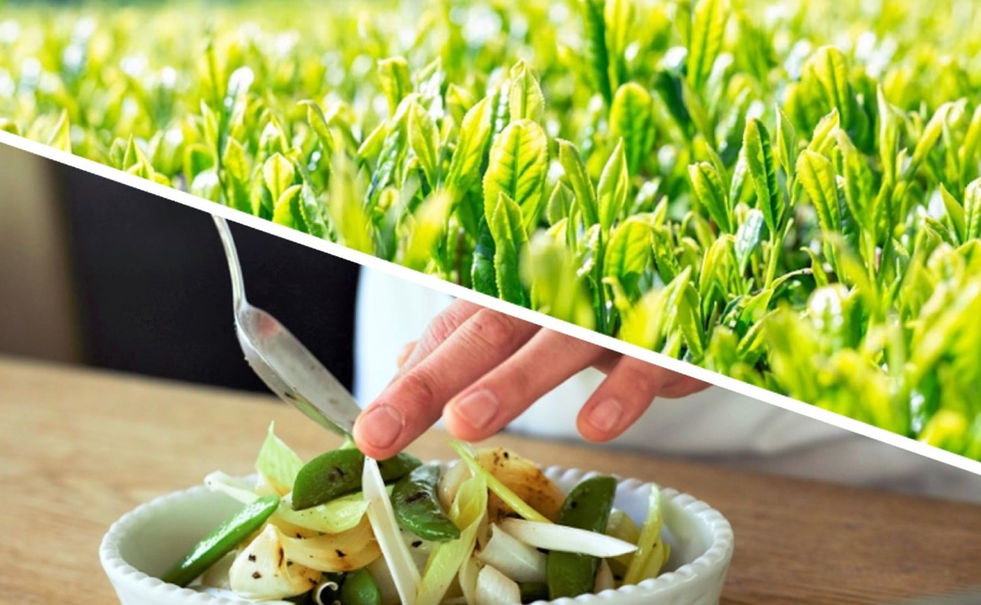 福岡店｜高木茶園 × DEAN & DELUCA「今宵のディナーは、新茶と共に」