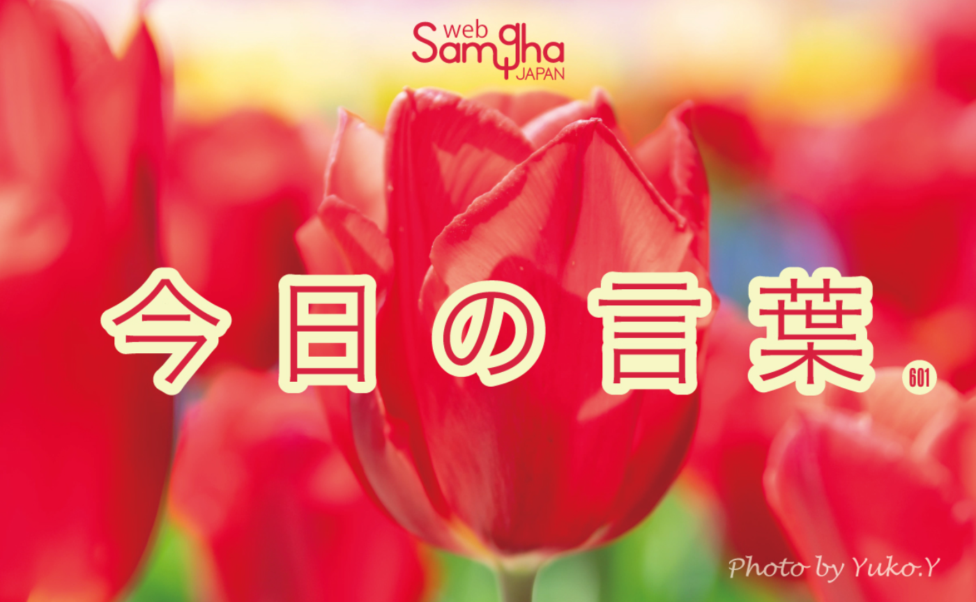 ４月24日　今日の言葉　はかないからこそ