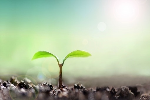 講(ないラボファンド)について