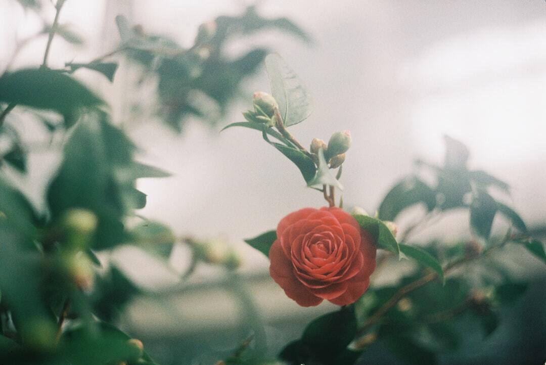 タウンレポート / 2023年4月22日