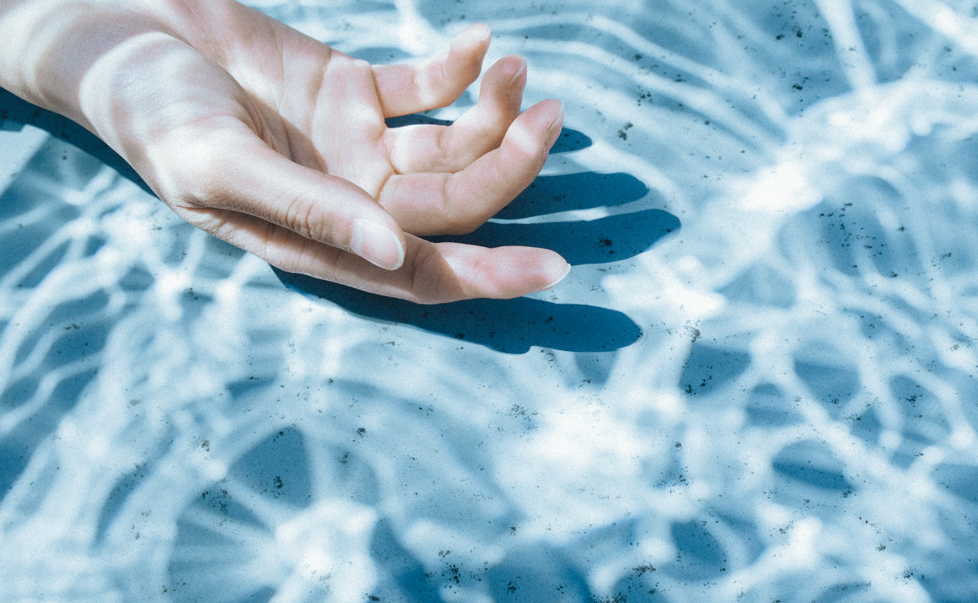 【晴れの日限定】アクリル水槽で遊んでみよう